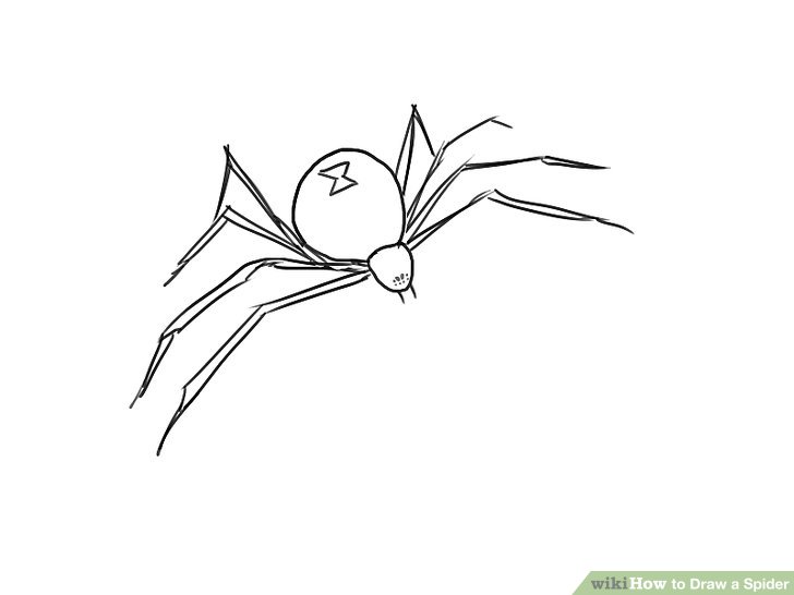 Easy Spider Drawing