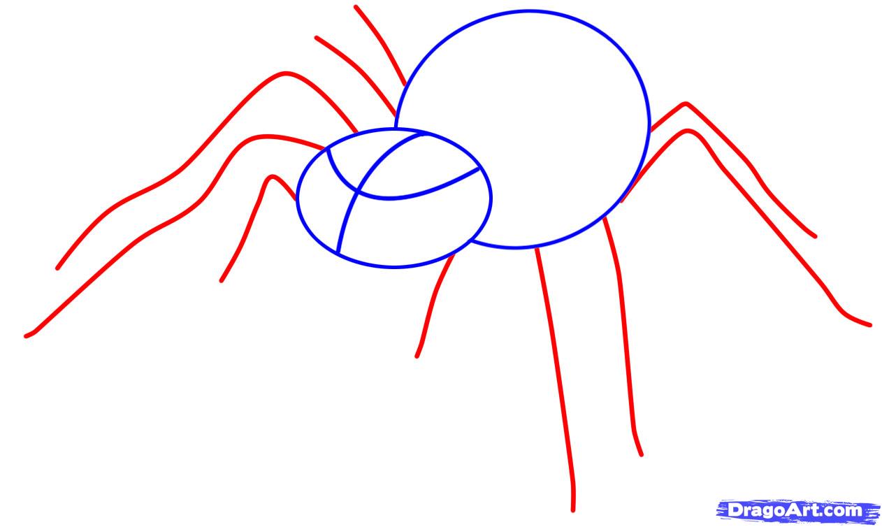 1262x754 Draw An Easy Spider, Step - Easy Spider Drawing