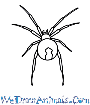 300x350 how to draw a black widow spider - Easy Spider Drawing
