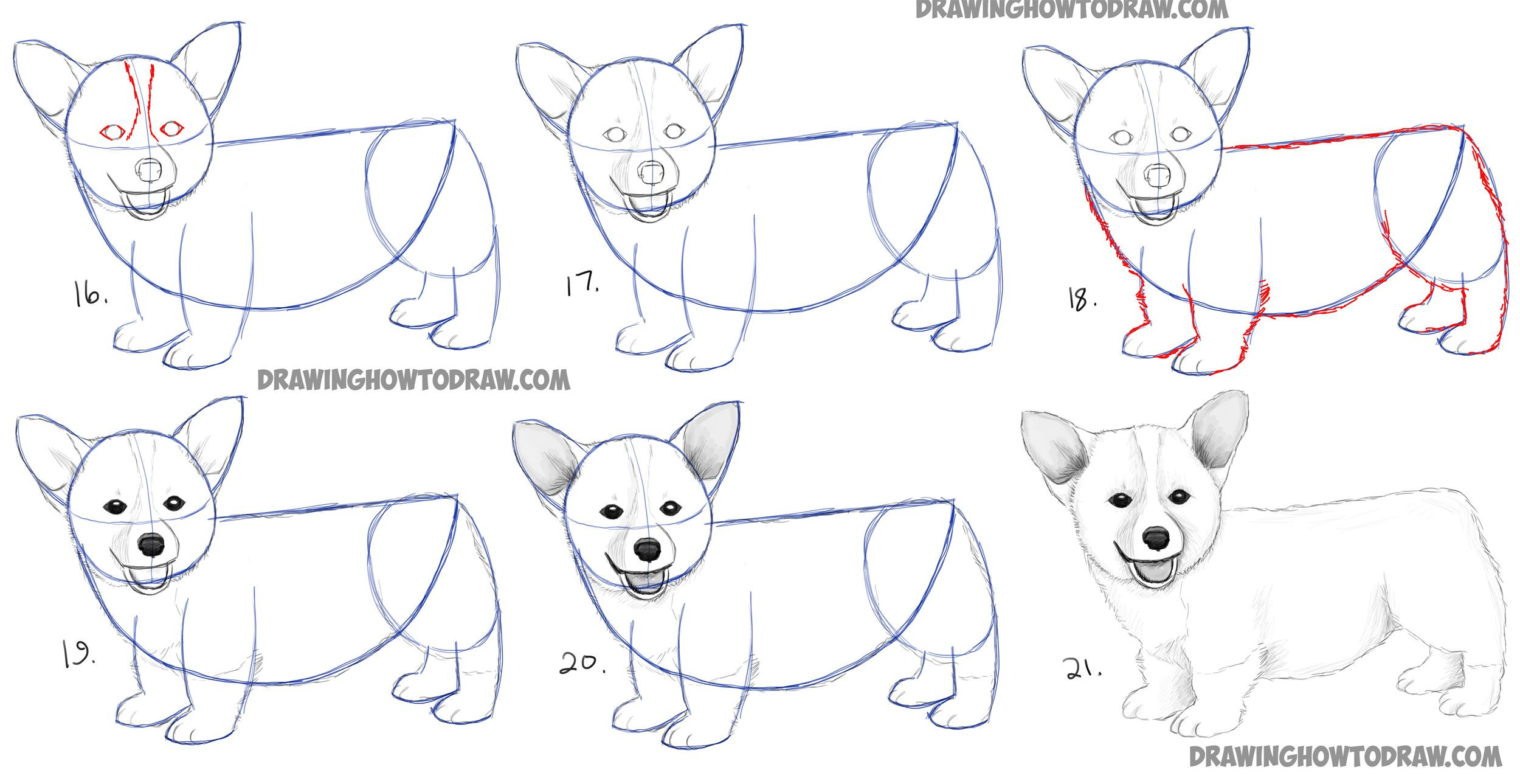 Easy Step By Step Dog Drawing At Paintingvalley Com Explore