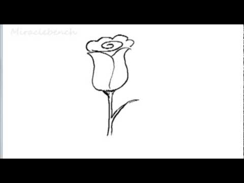480x360 How To Draw A Rose For Kids - Easy Step By Step Drawing Of A Rose