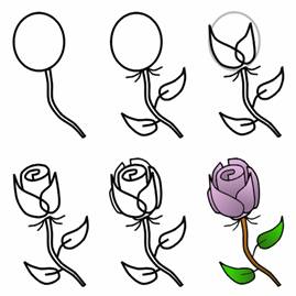 269x269 How To Draw Roses With Easy Step - Easy Step By Step Drawing Of A Rose