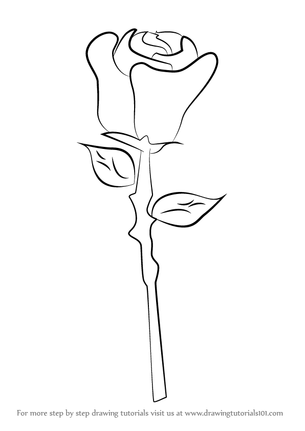 596x842 Learn How To Draw A Rose Easy - Easy Step By Step Drawing Of A Rose