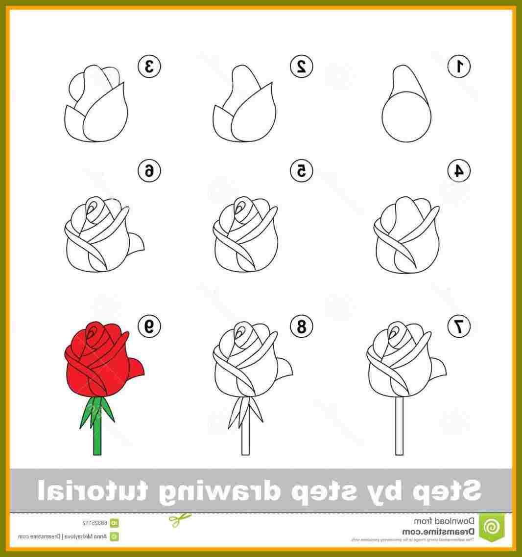 Easy Step By Step Drawing Of A Rose at PaintingValley.com | Explore ...