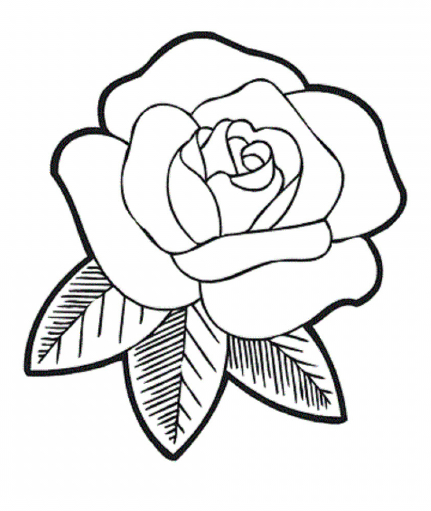 864x1024 Drawing Roses For Kids Drawing Flowers Stepstep For Kids Easy - Easy Step By Step Drawing Of A Rose