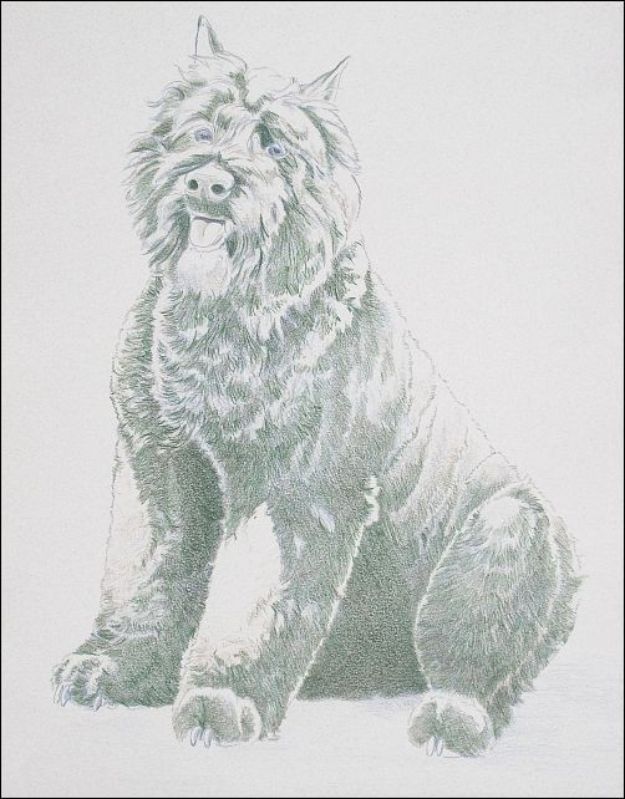 Easy Steps Drawing A Dog