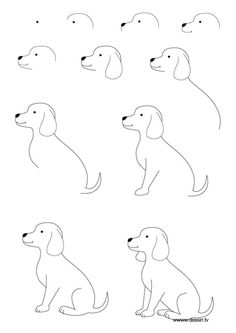 Easy Steps Drawing A Dog At Paintingvalley Com Explore