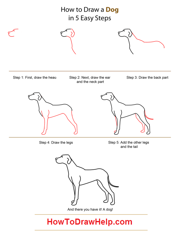 600x776 How To Draw A Dog Step - Easy Steps Drawing A Dog