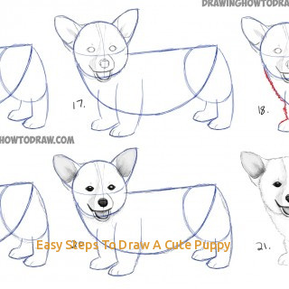 Featured image of post Puppy Drawings Step By Step - This tutorial shows the sketching and drawing steps from start to finish.