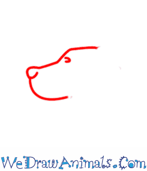 300x350 How To Draw A Dog - Easy Steps Drawing A Dog