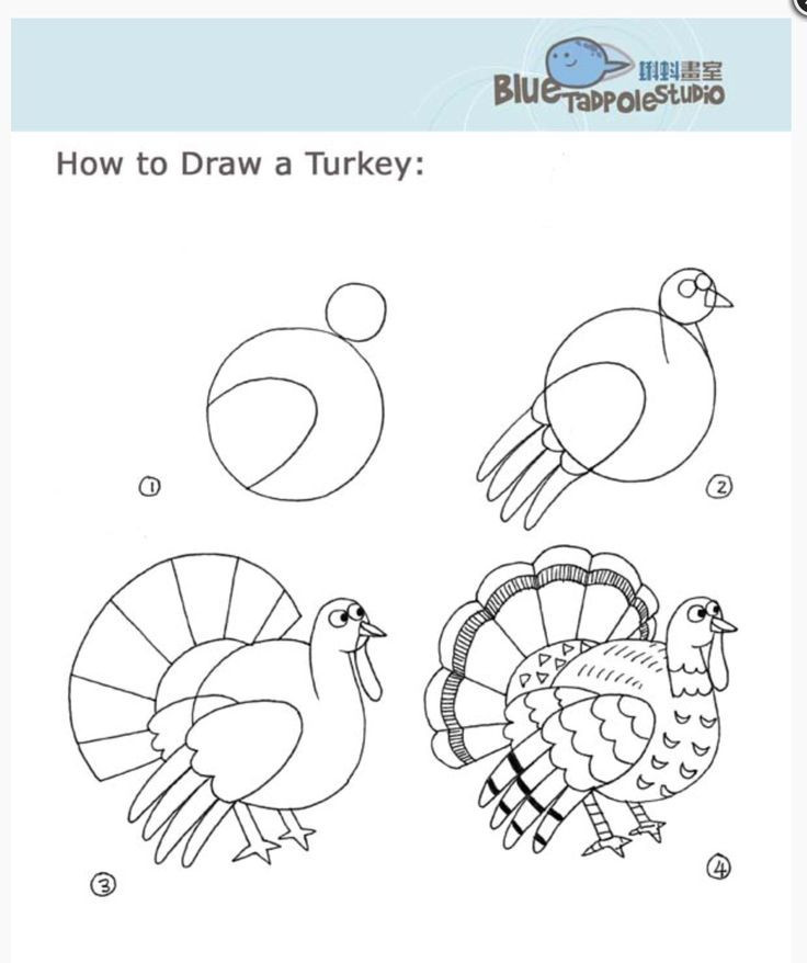 736x878 how to draw a thanksgiving turkey how to draw thanksgiving things - Easy Turkey Drawing