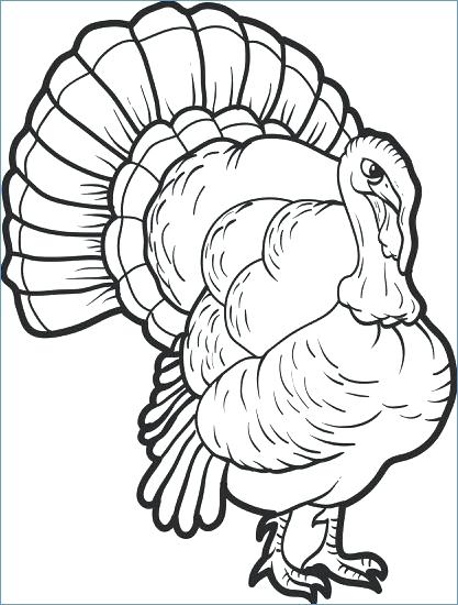 Easy Turkey Drawing at PaintingValley.com | Explore collection of Easy ...