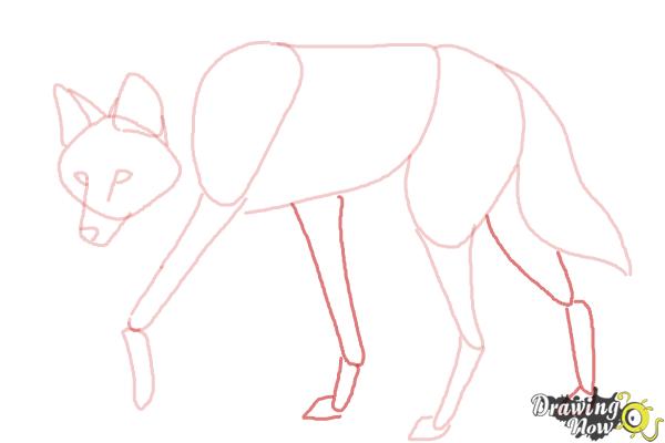 Easy Wolf Drawing Step By Step at PaintingValley.com | Explore