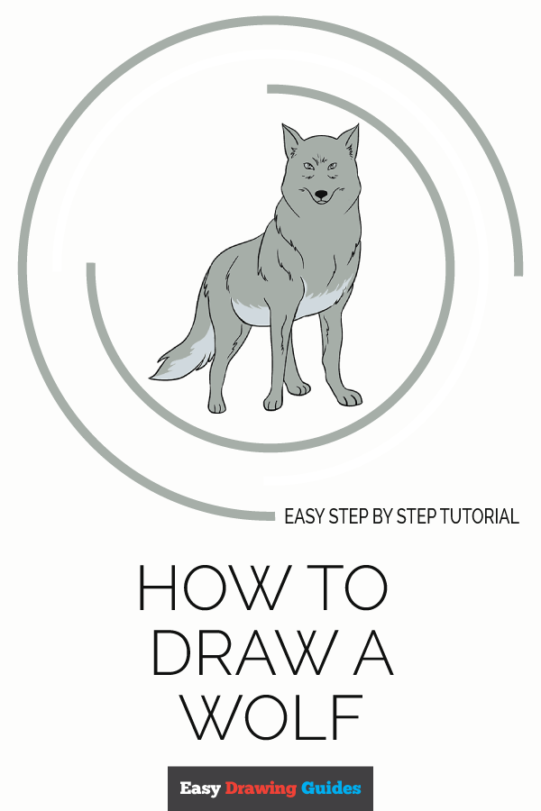 600x900 How To Draw A Wolf Easy Step - Easy Wolf Drawing Step By Step