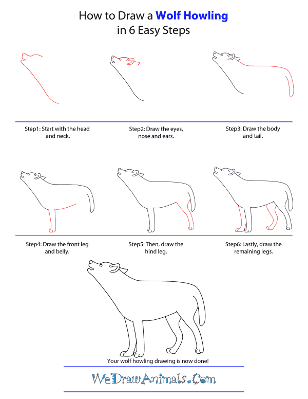 Easy Wolf Drawing Step By Step at Explore