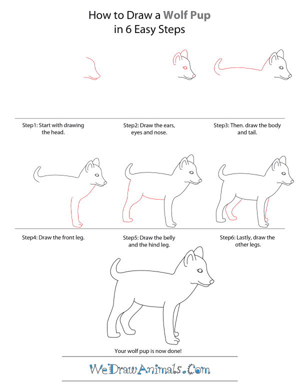 Easy Wolf Drawing Step By Step at PaintingValley.com | Explore