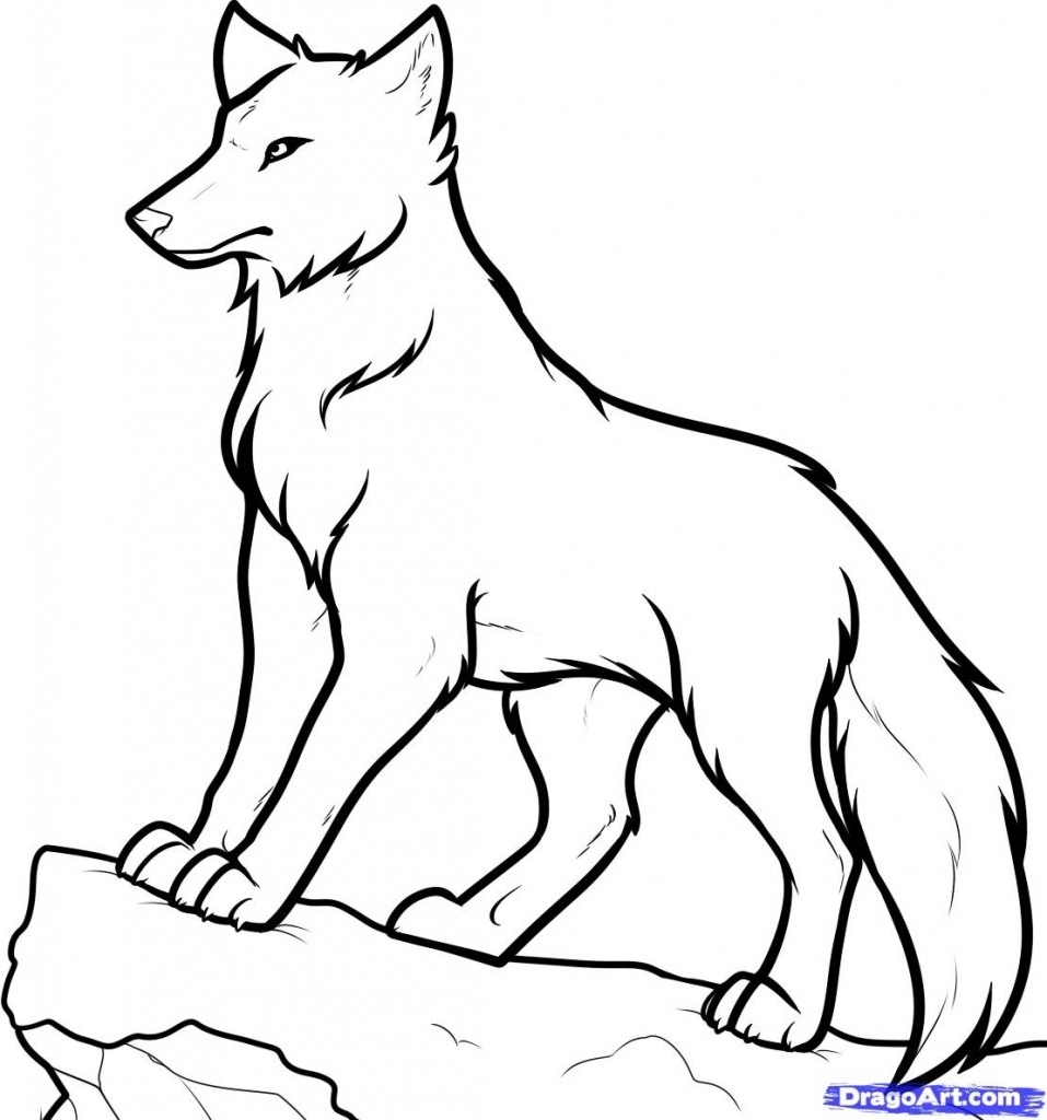 Easy Wolf Drawing Step By Step at Explore