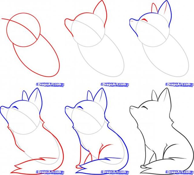 640x576 How To Draw A Wolf For Kids Stuff I Love For The Kids Drawings - Easy Wolf Drawing Step By Step