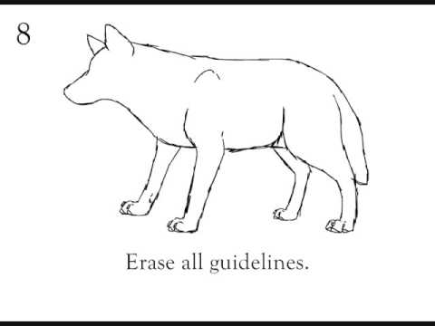 480x360 How To Draw A Wolf Step - Easy Wolf Drawing Step By Step