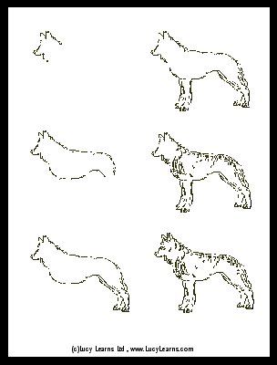 304x400 How To Draw A Wolf Howling - Easy Wolf Drawing Step By Step