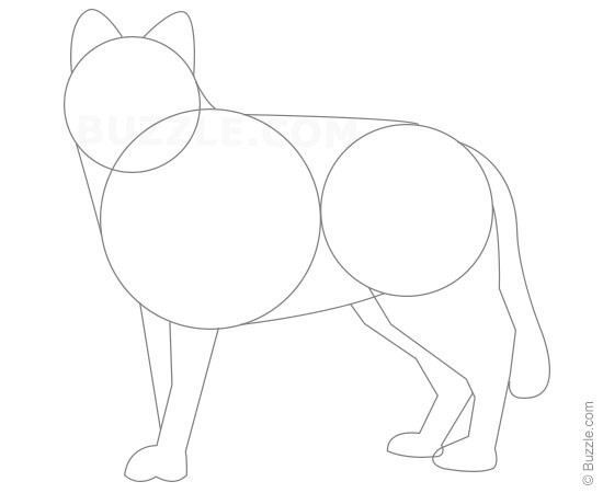 550x450 Step - Easy Wolf Drawing Step By Step