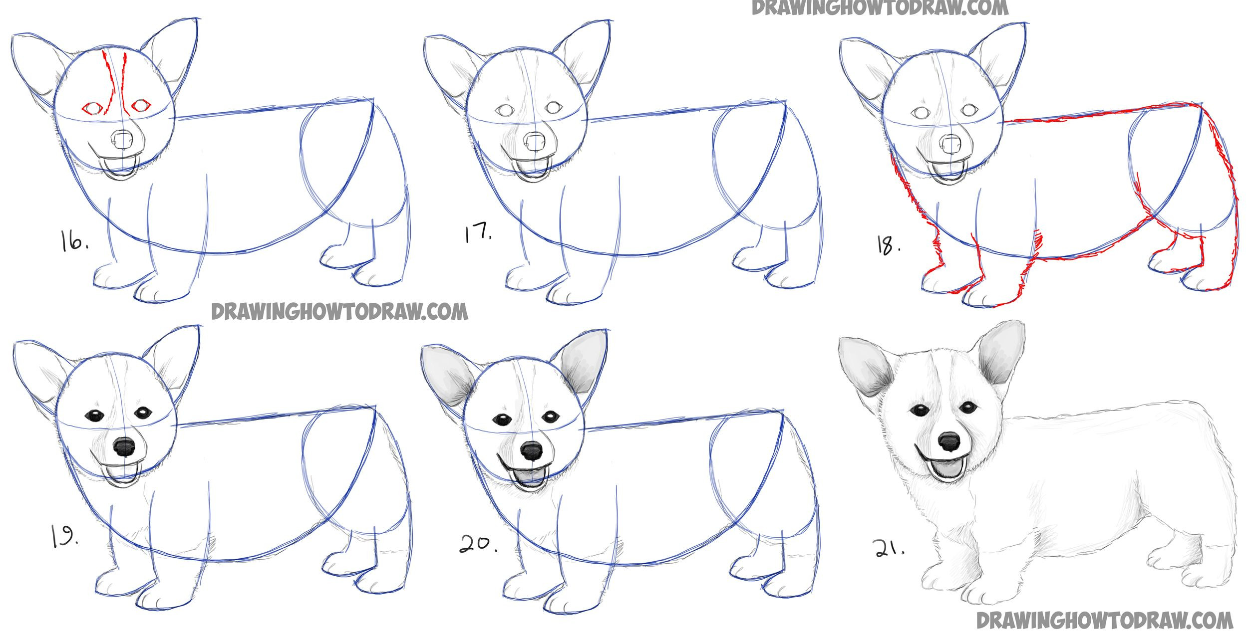 Easy Wolf Drawing Step By Step at