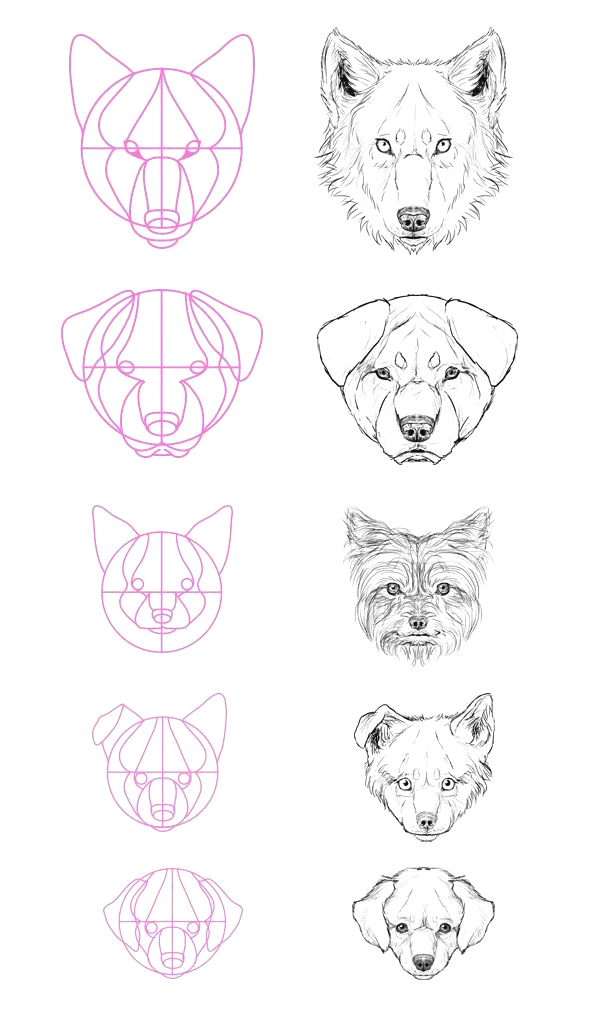 600x1015 How To Draw A Wolf Easy Werewolf Tutorial Google Search Werewolf - Easy Wolf Drawing Tutorial