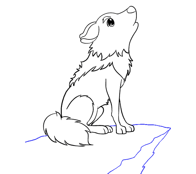 678x600 How To Draw A Cartoon Wolf In A Few Easy Steps Easy Drawing Guides - Easy Wolf Drawing Tutorial