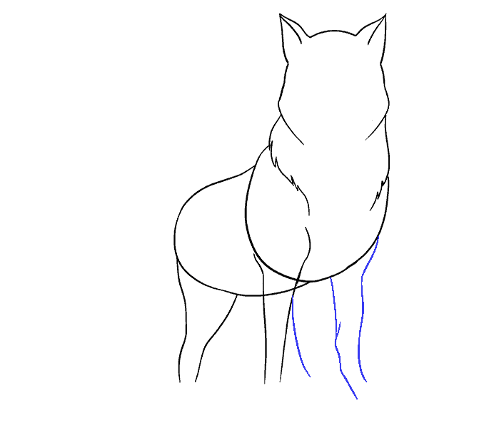 678x600 How To Draw A Wolf Easy Step - Easy Wolf Drawing Tutorial