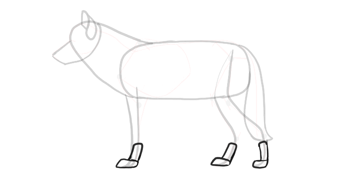 688x365 how to draw a wolf head and shoulders, knees and paws - Easy Wolf Drawing Tutorial