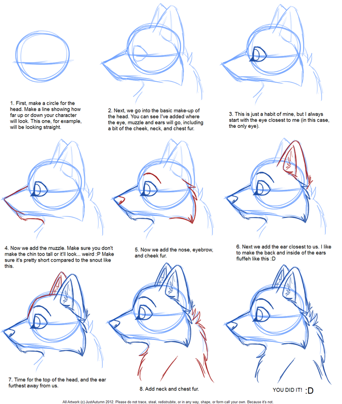 676x800 How To Draw A Wolf - Easy Wolf Drawing Tutorial