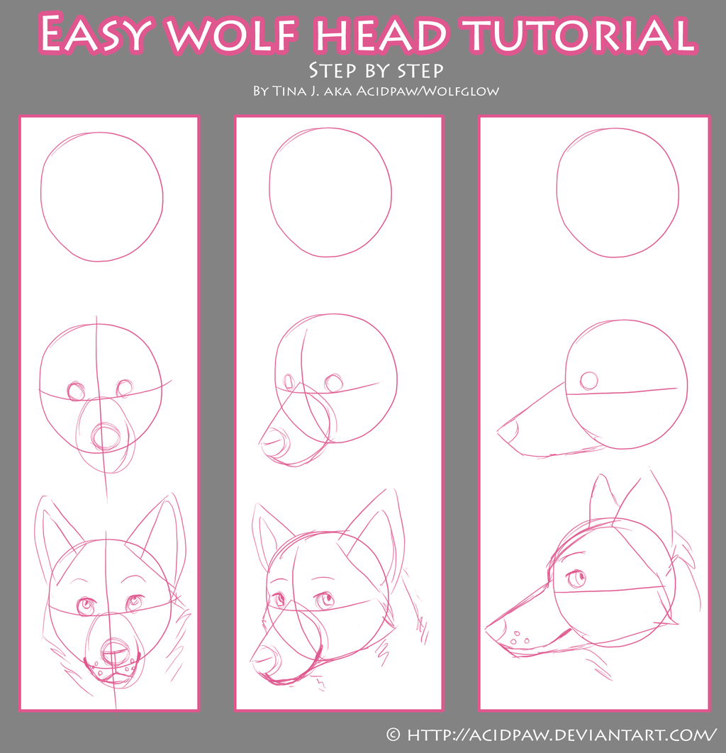 Easy Wolf Drawing Tutorial At Paintingvalley Com Explore