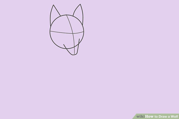 728x485 Ways To Draw A Wolf - Easy Wolf Head Drawing