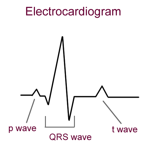 Ecg Drawing at PaintingValley.com | Explore collection of Ecg Drawing