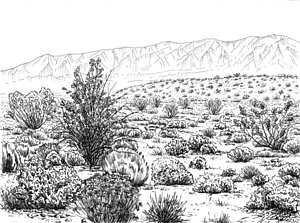 300x223 ecosystem drawings pixels - Ecosystem Drawing