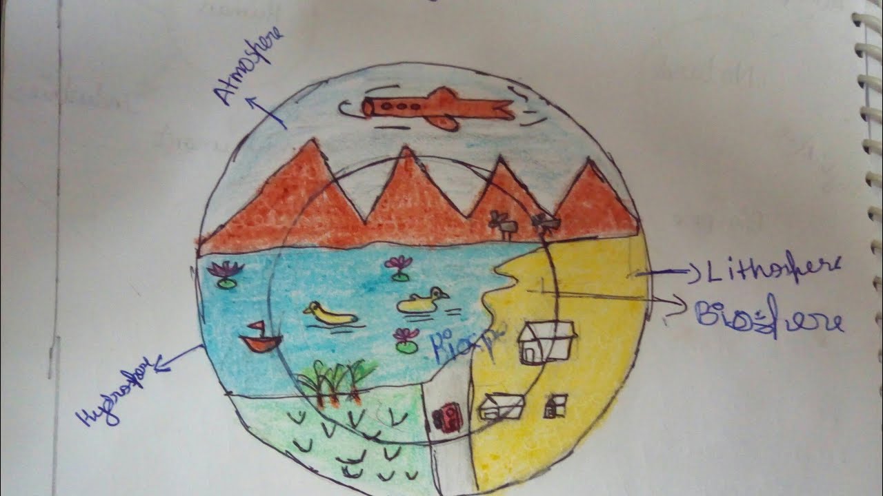 Ecosystem Drawing at Explore collection of