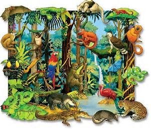 301x258 image result for tropical rainforest ecosystem drawing art - Ecosystem Drawing