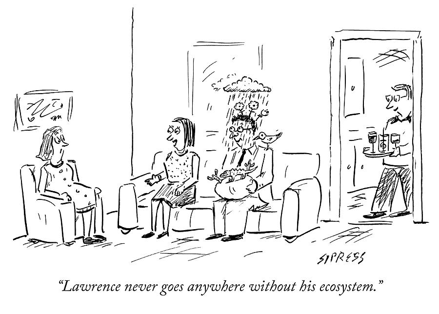 900x644 lawrences ecosystem drawing - Ecosystem Drawing