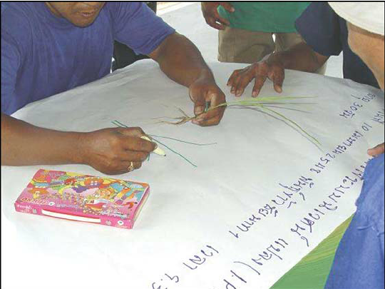 540x405 making an agro ecosystem drawing download scientific diagram - Ecosystem Drawing