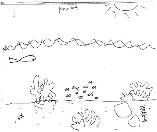 549x462 the draw an ecosystem task as an assessment tool in environmental - Ecosystem Drawing