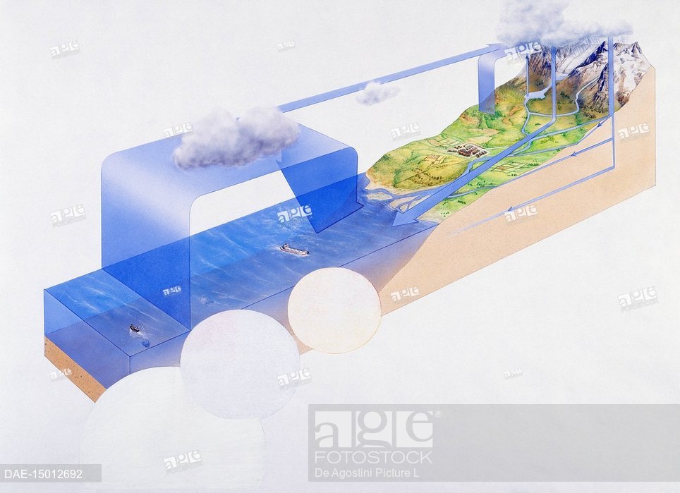 964x699 biosphere, ecosystem, drawing, stock photo, picture and rights - Ecosystem Drawing