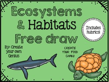 350x263 ecosystem and habitat free draw with rubric - Ecosystem Drawing With Labels