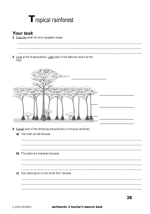 Ecosystem Drawing With Labels at Explore