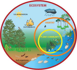 317x289 fun ecosystem facts for kids - Ecosystem Drawing With Labels