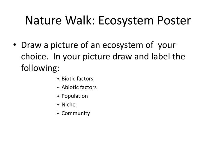 Ecosystem Drawing With Labels at Explore