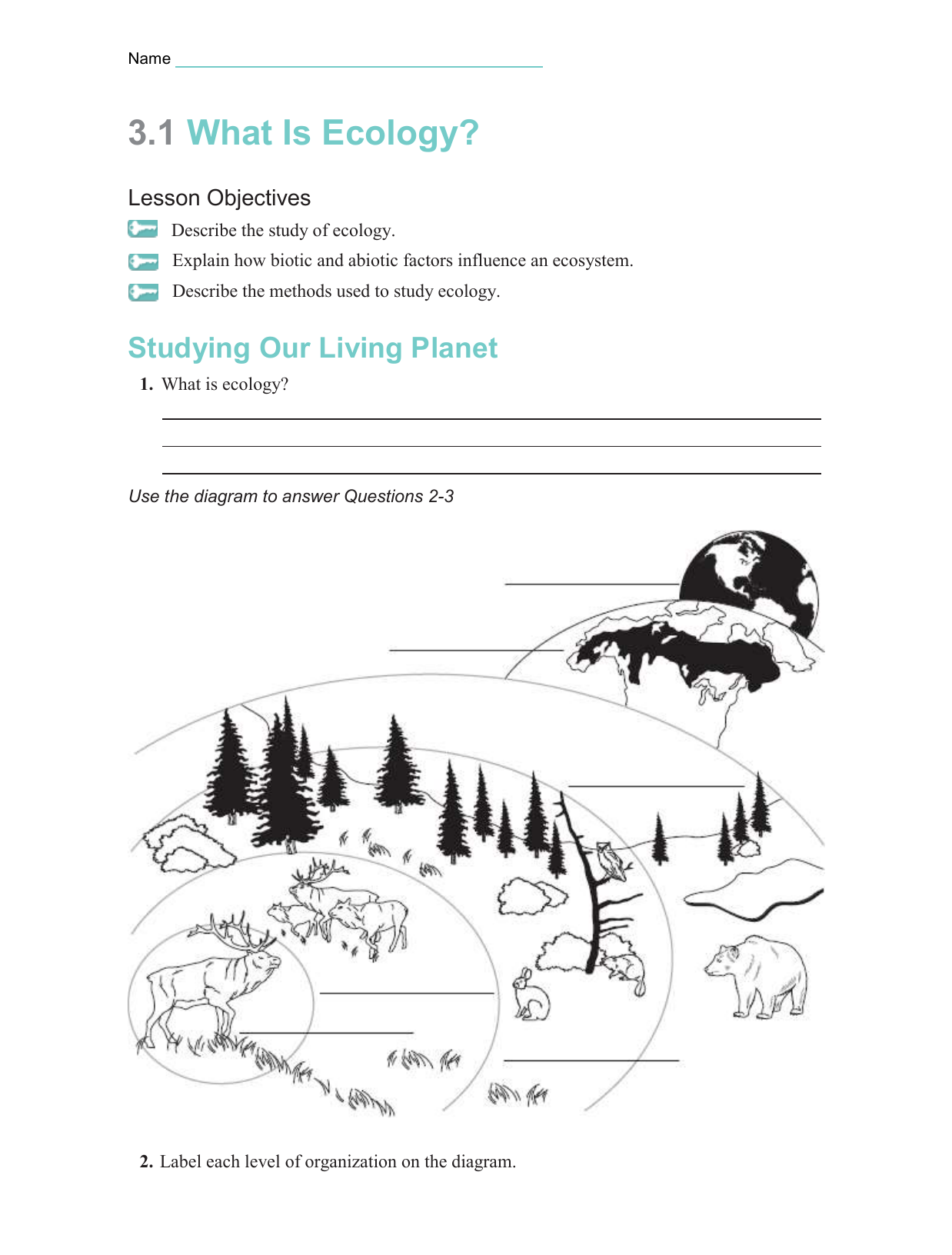Ecosystem Drawing With Labels at Explore