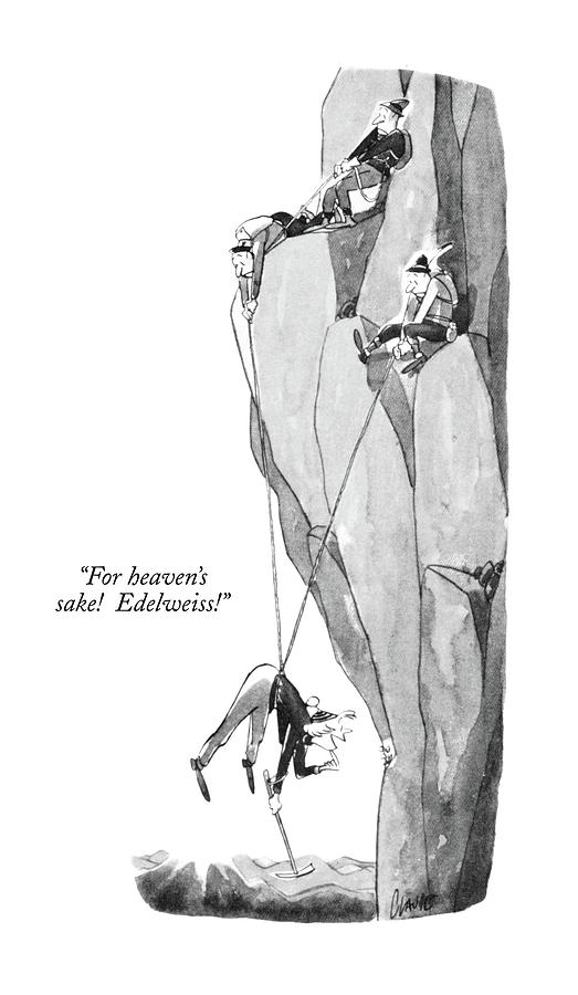 523x900 For Heaven's Sake! Edelweiss! - Edelweiss Drawing