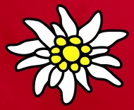 190x156 funny pets edelweiss alpine flower t shirt - Edelweiss Drawing