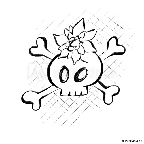 500x500 Drawing Of A Sweet Little Skull With Edelweiss Flower - Edelweiss Drawing