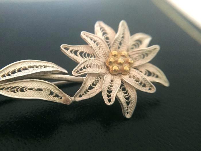 700x525 edelweiss flower plant drawing for sale seeds - Edelweiss Flower Drawing